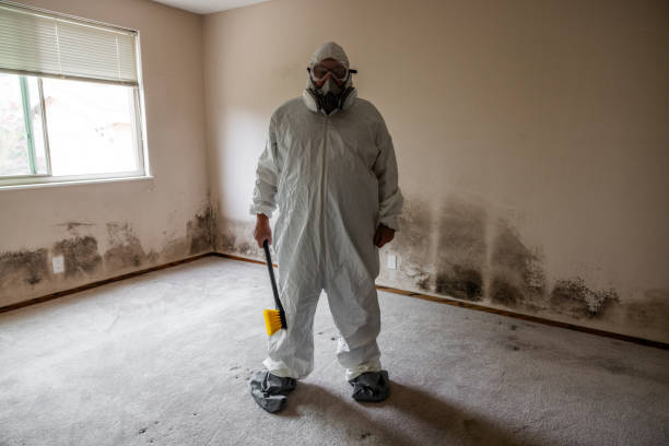 Best Mold Damage Restoration  in Leechburg, PA